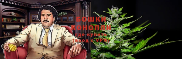 трава Вязьма