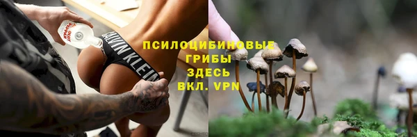 трава Вязьма