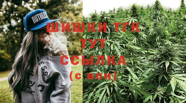 СК Вяземский