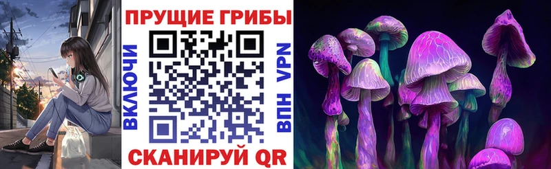 Псилоцибиновые грибы GOLDEN TEACHER  МЕГА как войти  Печоры  цена  