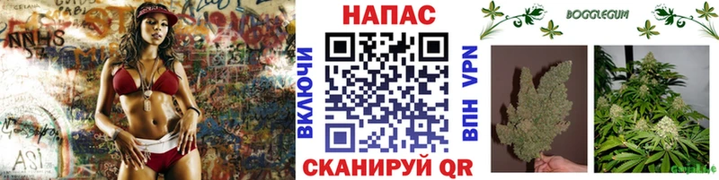 Шишки марихуана семена  KRAKEN ссылка  Печоры 